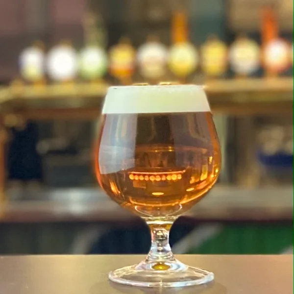Lagunitas Ipa 0,4 L
